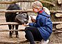 Kind füttert Huftier im Wildpark Bad Mergentheim